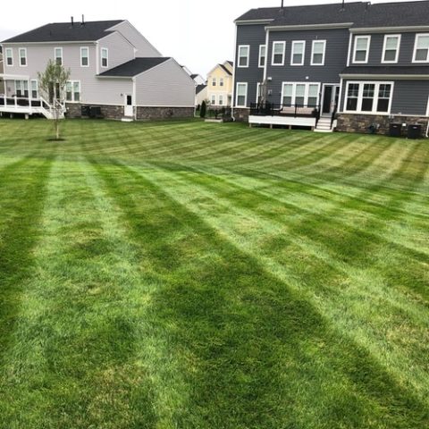 Lawn Mowing Services | Campbell Lawn & Irrigation